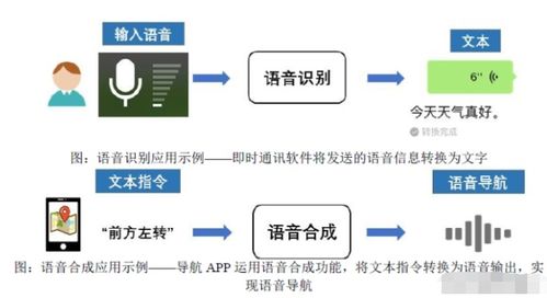 人工智能上游龙头公司 语音类基础数据国内第一 最大客户微软